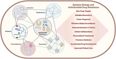 Editorial: Systems biology and antimicrobial drug resistance